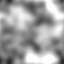 Surface In